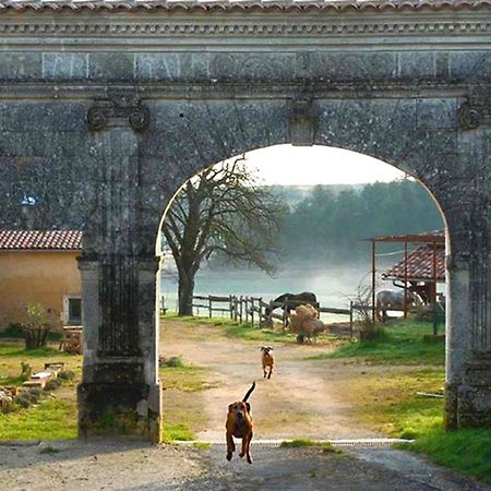 Domaine De Chantemerle B'Nb Marsac  Dış mekan fotoğraf