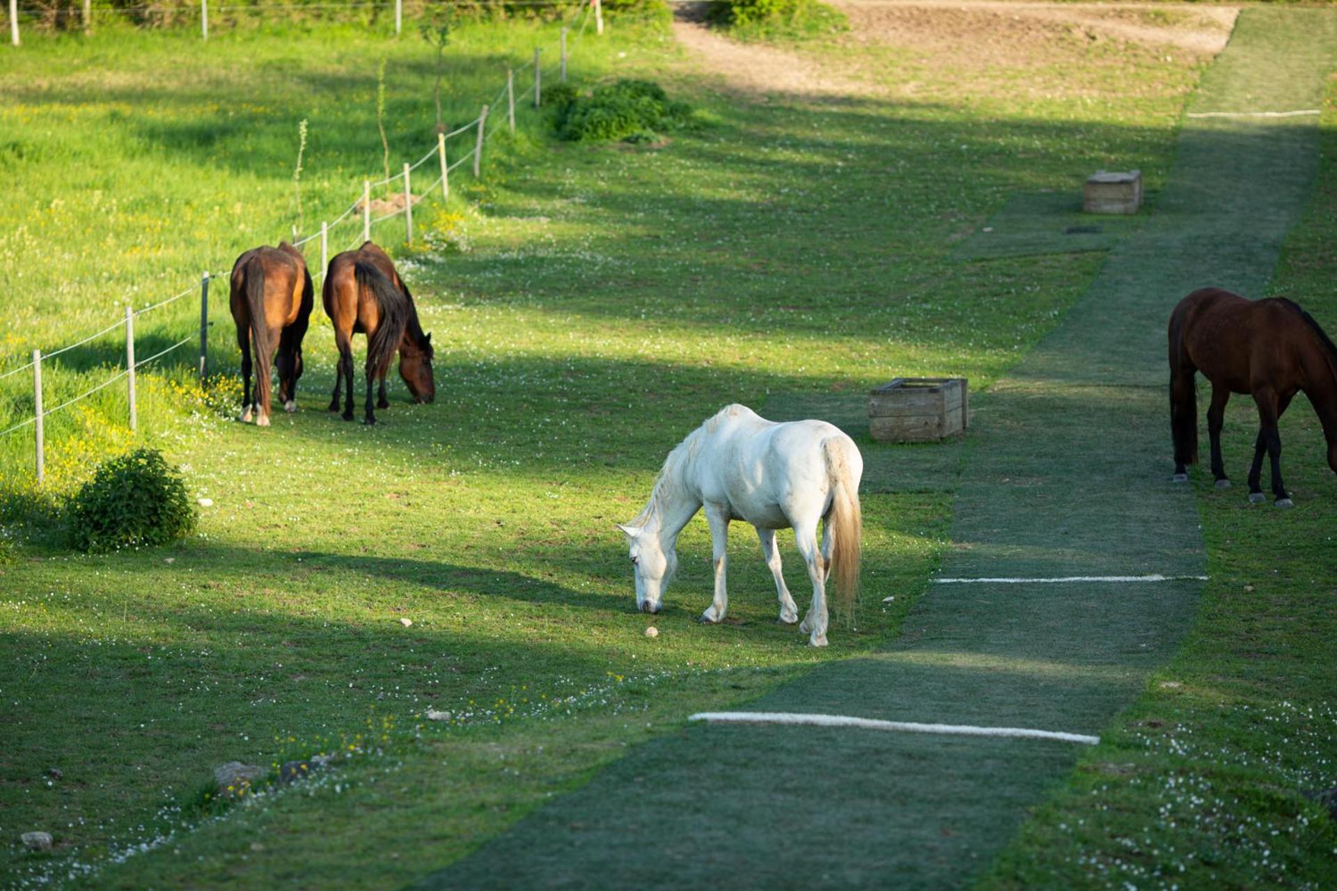 Domaine De Chantemerle B'Nb Marsac  Dış mekan fotoğraf